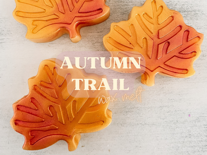 Autumn Trail Wax Melts